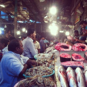 Fish market CR Park